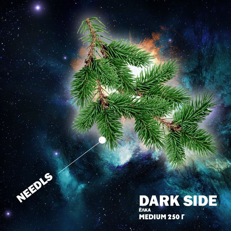 табак для кальяна Dark Side Needles