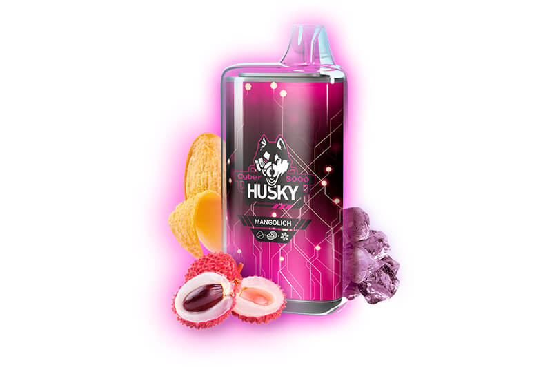 Одноразка HUSKY CYBER 8000 Mangolich (Манго, личи, лёд)