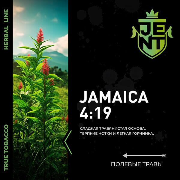 Топовый вкус - Jent Jamaica 4:19