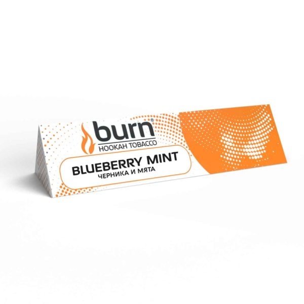 Burn Blueberry Mint (Черника и мята) 20 гр